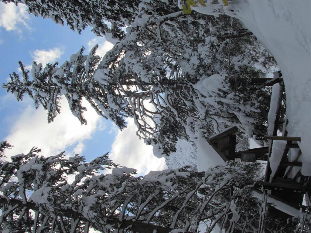 Gaestehaus Hoamat'L Bach  Exterior foto